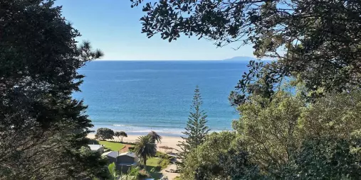 Native bush trail on Waiheke Island leading toward a scenic coastal viewpoint
