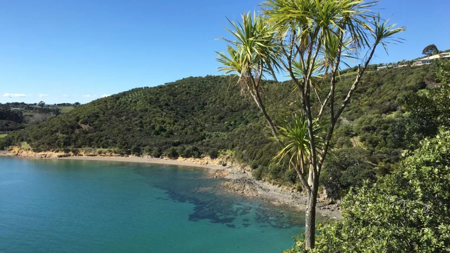 Coastal bay view from the Double Headland Walk on Waiheke Island with surrounding natural bush