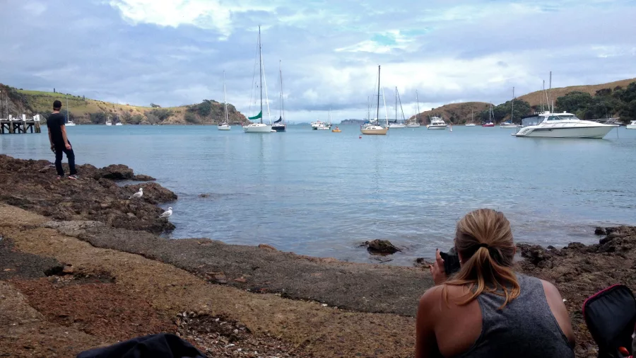 Harbour view from the Double Headland Walk on Waiheke Island with coastal cliffs and calm waters