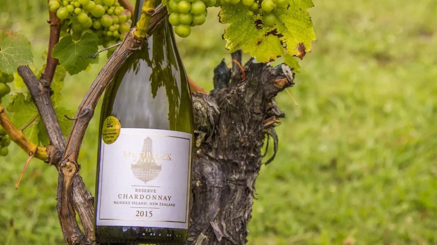 Mudbrick bottle 1920x1080 lg