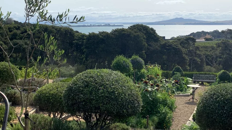 Mudbrick Vineyard on Waiheke Island with views of vineyards, gardens, and the sea
