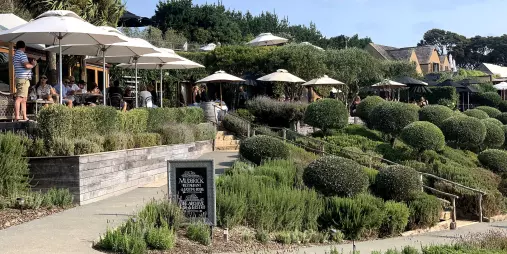 Garden and vineyard view at Mudbrick Vineyard on Waiheke Island with scenic surroundings