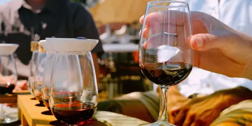 Wine tasting glasses with small food pairings during Waiheke Best Cellar wine tour