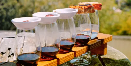 Waiheke Island wine tasting flight served with small food pairings on Sip and Savour tour