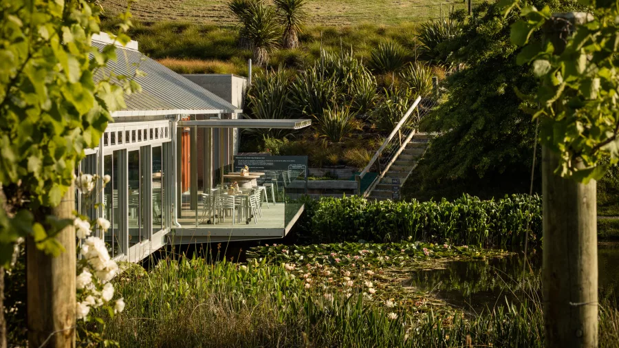 Modern Glass House restaurant with outdoor seating overlooking the lake at Brick Bay Wines & Sculpture Trail, Snells Beach