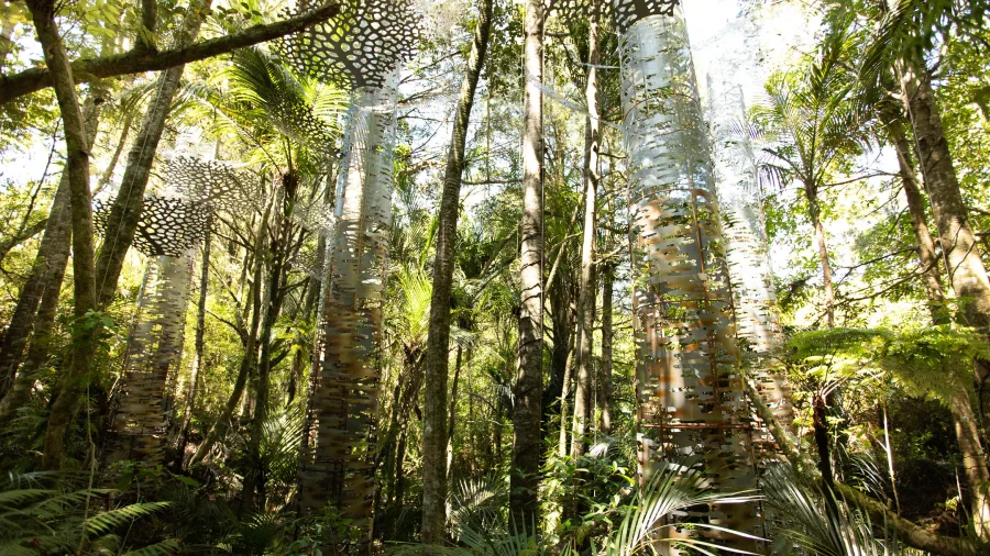 Aetherium Ancestral Vale sculpture by Virginia King in native forest at Brick Bay, Auckland