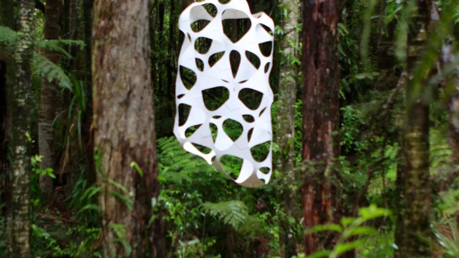 Counterbalancing Entropy sculpture by Chiara Corbelletto suspended in native forest at Brick Bay