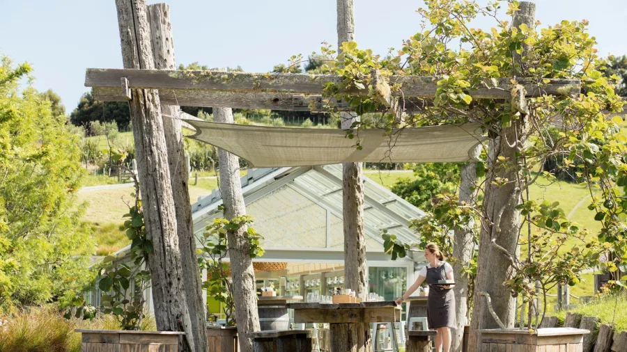 Rustic pergola and outdoor seating near the Glass House Kitchen at Brick Bay