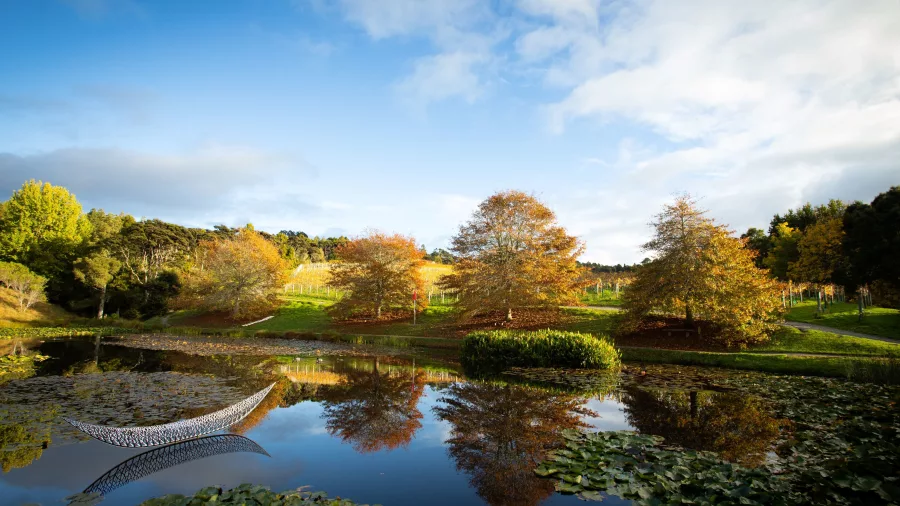 Scenic autumn pond with contemporary sculpture, water lilies, and golden trees at Brick Bay in Snells Beach