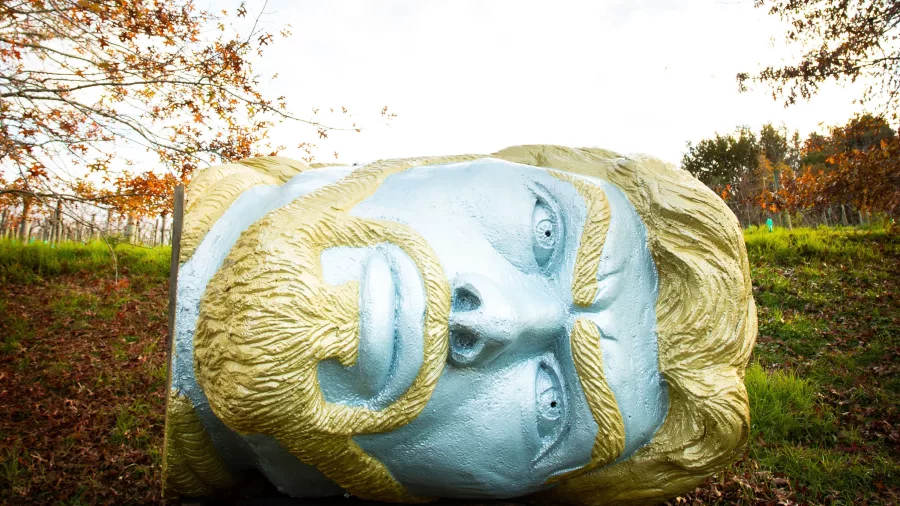 Rohan Wealleans The Psychosis Chamber of the Oracle sculpture at Brick Bay Snells Beach amid autumn trees and vineyard setting
