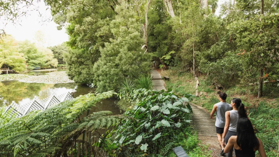 People walking Brick Bay sculpture trail
