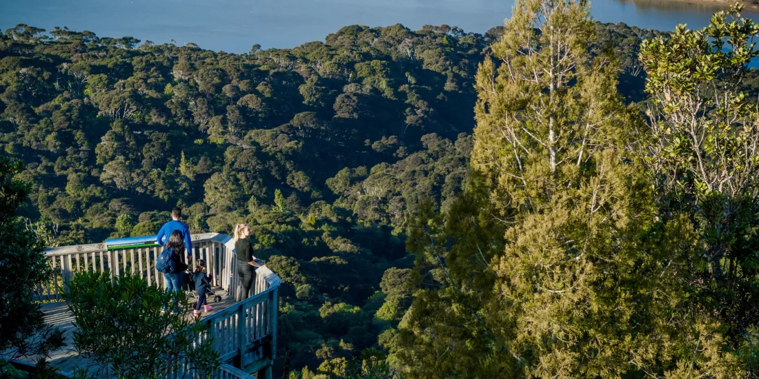 People at Waitakere Ranges lookout