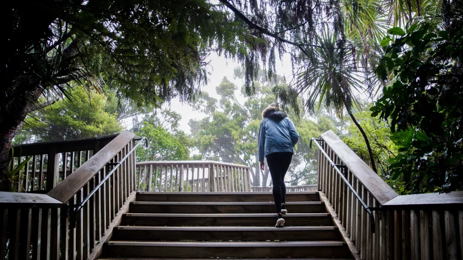 Person walking in Waitakere Ranges