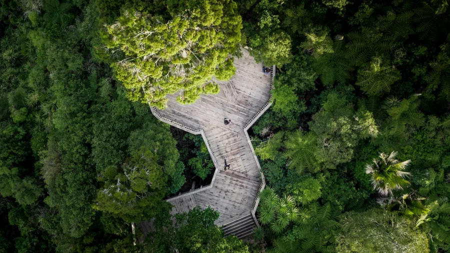 Aerial view of Arataki Visitor Centre platform