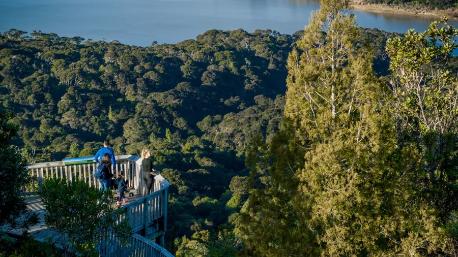 People at Waitakere Ranges lookout
