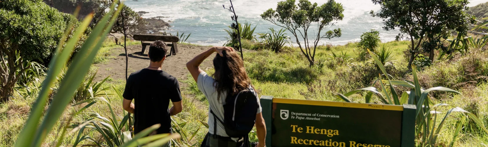 Te Henga Walkway Auckland west coast
