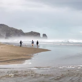 Te Henga Bethells Beach Auckland