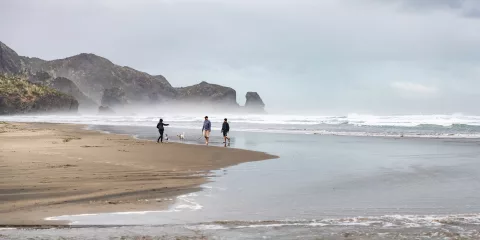 Te Henga Bethells Beach Auckland