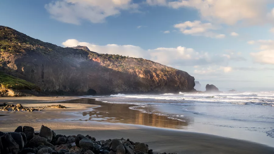 Te Henga Bethells Beach Auckland coast