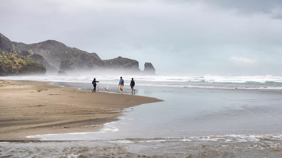 Te Henga Bethells Beach Auckland