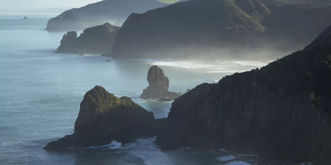Muriwai coastline on Auckland’s west coast
