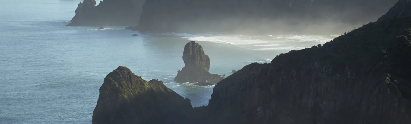 Muriwai coastline on Auckland’s west coast