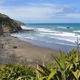 Rugged black sand coastline at Muriwai on Auckland’s west coast