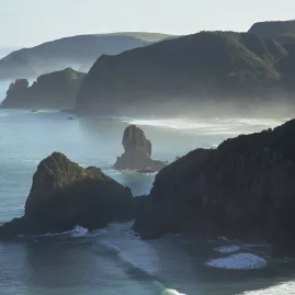 Muriwai coastline on Auckland’s west coast