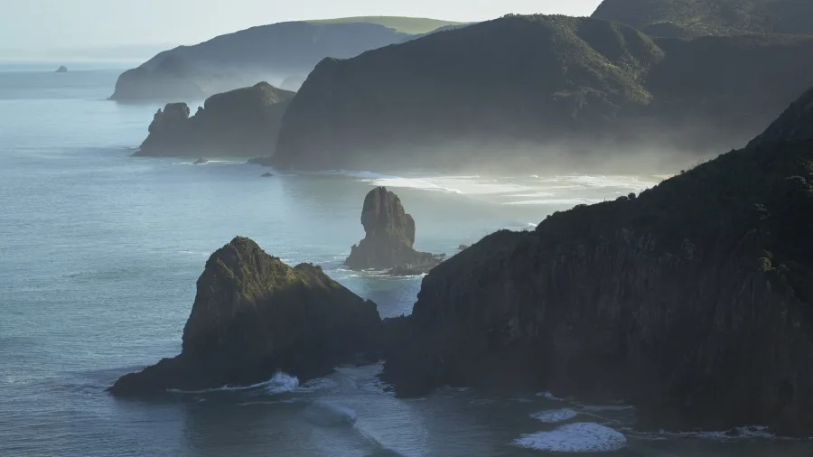 Muriwai coastline on Auckland’s west coast