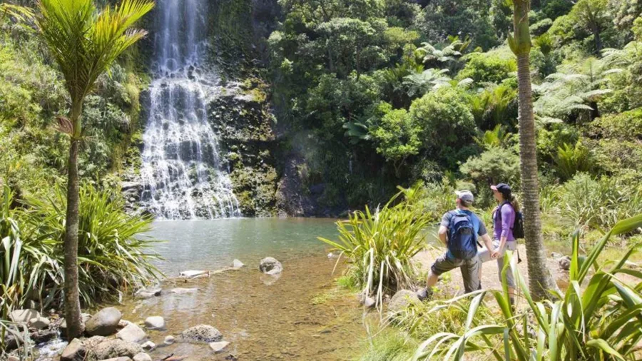 Couple admiring the beauty of Karekare Falls surrounded by lush native bush