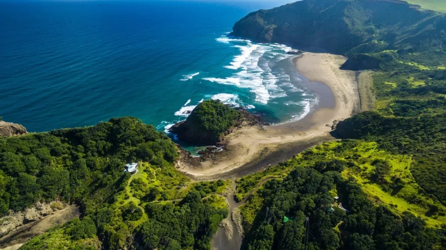 Aerial view of Whatipu Beach surrounded by forest and cliffs in the Waitākere Ranges
