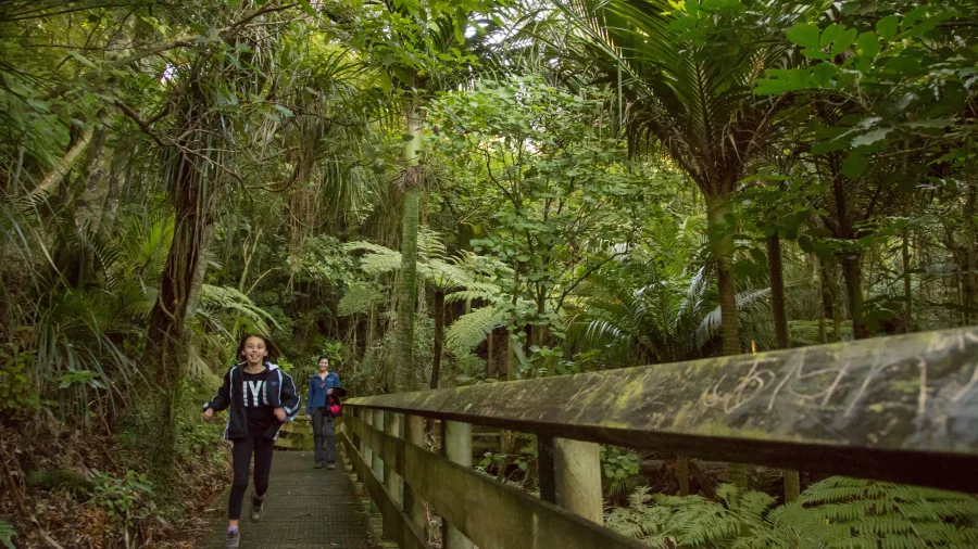 Children walking along a wooden boardwalk on the Tuahu Kauri Track in Katikati