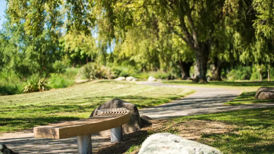 Curved wooden bench beside a leafy walking path in Uretara Park, Katikati