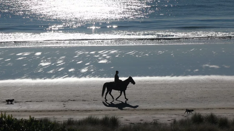 Person riding a horse along Mount Maunganui beach at sunrise, Bay of Plenty, New Zealand