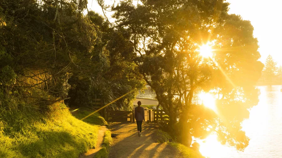 Person walking the Mauao Base Track at Mount Maunganui during golden sunset, Bay of Plenty, New Zealand