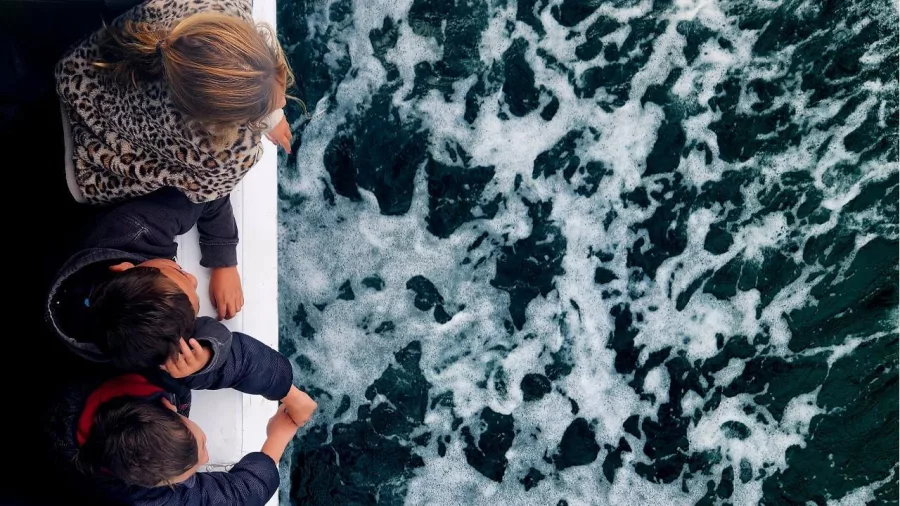 Family leaning over the rail watching the boat wake during Tauranga Harbour Cruise