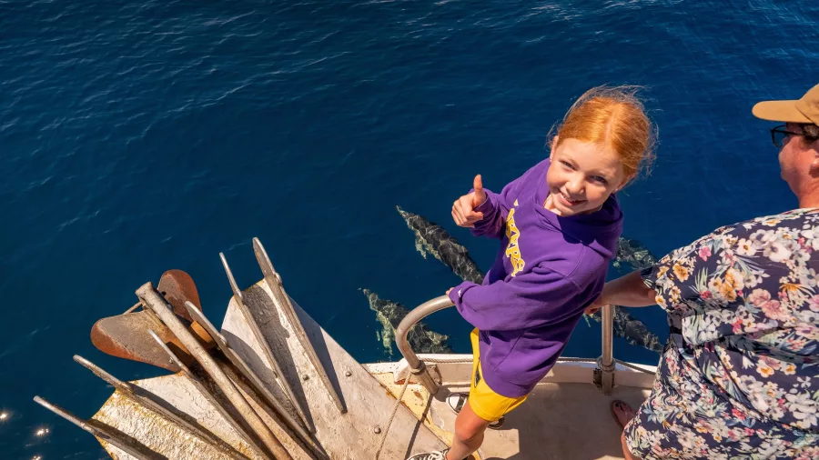 Smiling girl gives a thumbs-up while dolphins swim beside the boat in Tauranga