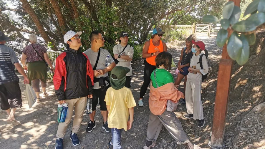 A tour group listening to their guide during the Mauao Cultural Walk beneath native trees