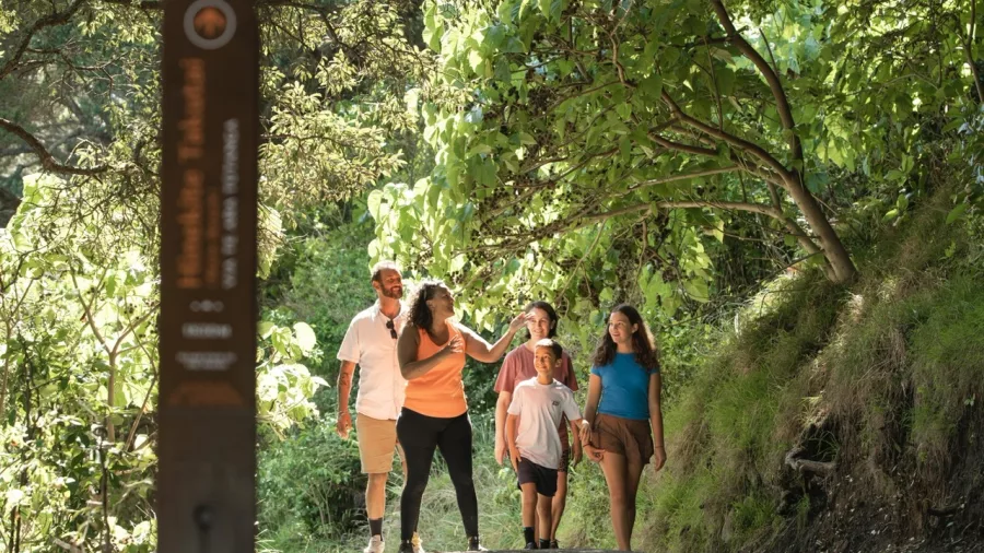 Family walking along a signposted trail during the Mauao Cultural Walk in Tauranga