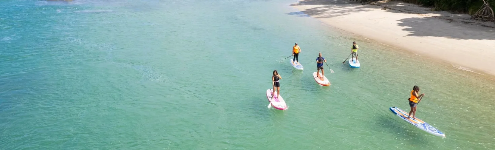 SUP group paddling past Te Kawa beach with native bush on the shoreline