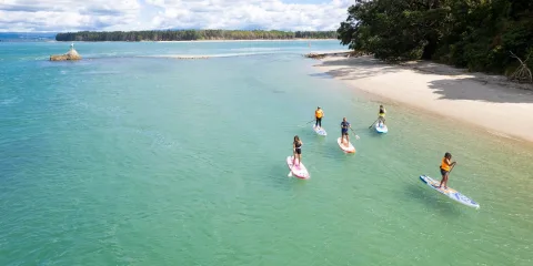 SUP group paddling past Te Kawa beach with native bush on the shoreline