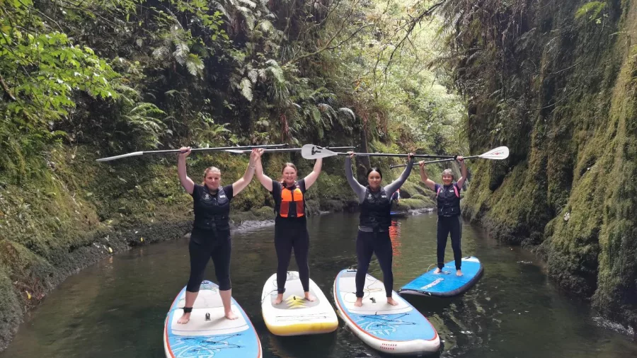 Group of women paddle boarding in a lush canyon near Tauranga
