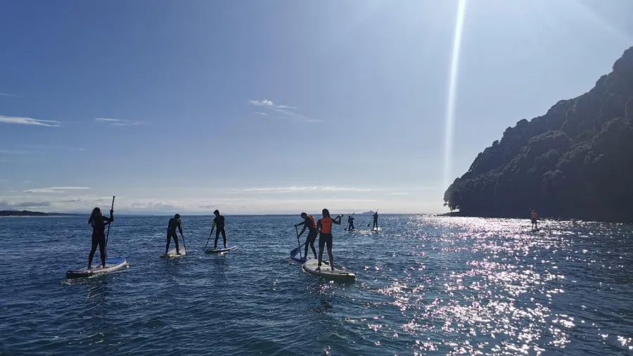 Stand-up paddle boarders silhouetted against the sun on Tauranga’s open water