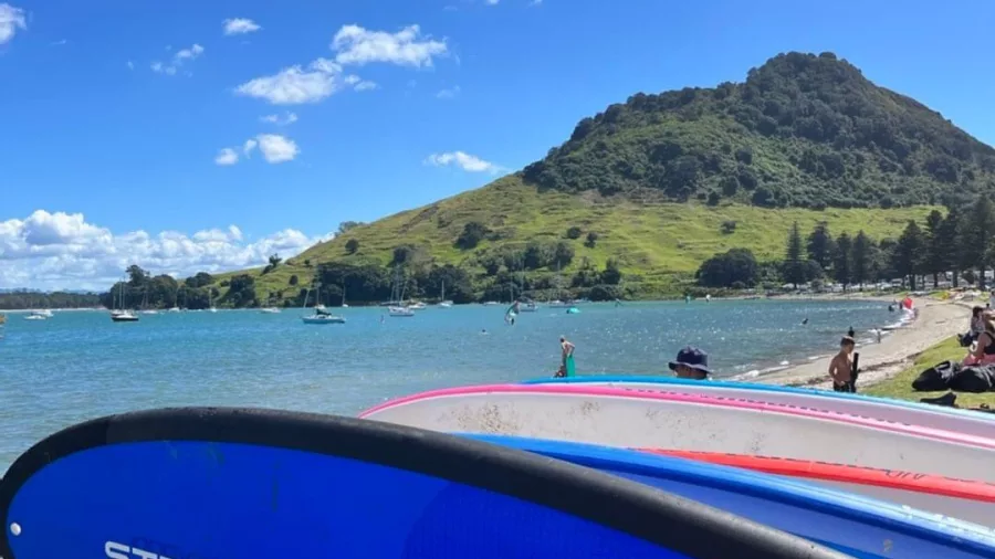 Close-up of Starboard SUP boards with Pilot Bay and Mauao behind