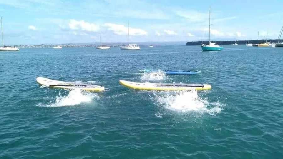 Splashes in the water after paddle boarders jump into Tauranga Harbour