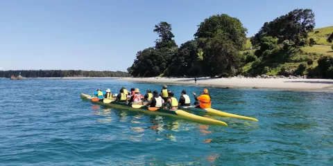 Waka ama team paddling toward a beach in Tauranga Harbour with forested hills in the background