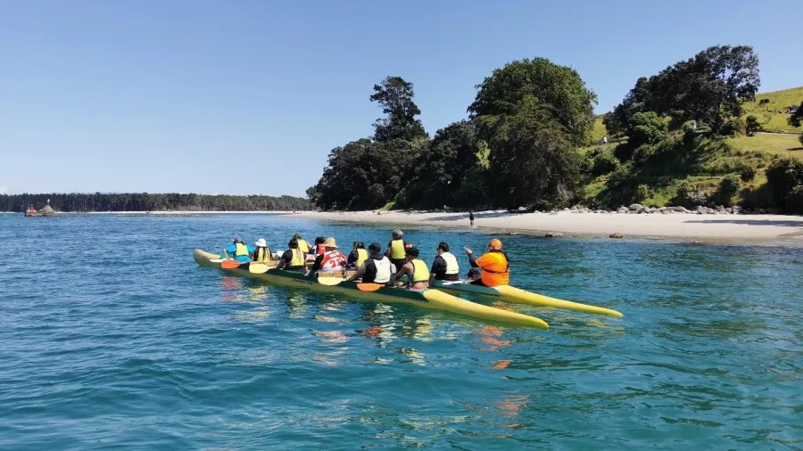Waka ama team paddling toward a beach in Tauranga Harbour with forested hills in the background