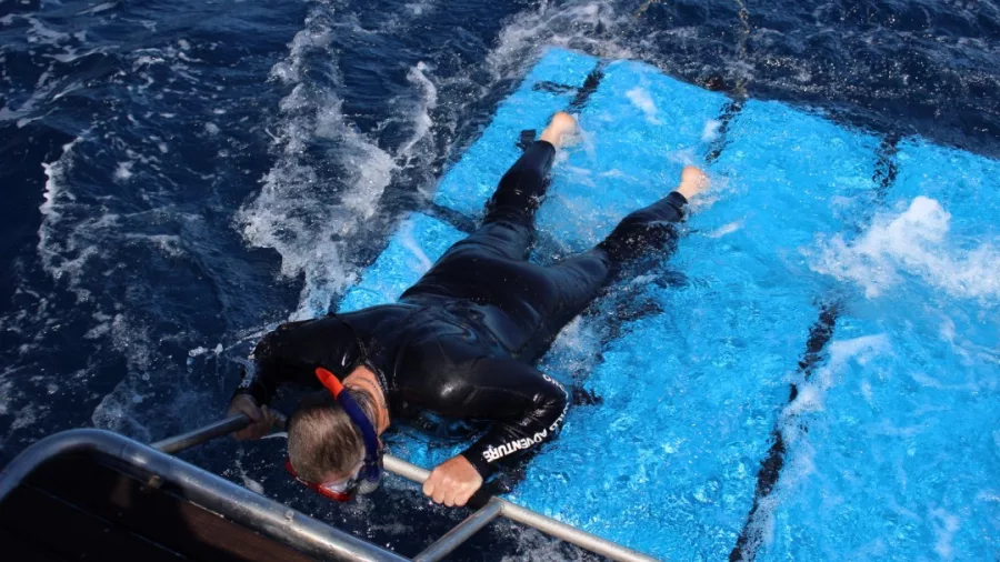 Swimmer using custom swim mat and bar on Orca vessel for dolphin viewing in Tauranga