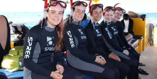 Group of snorkellers in wetsuits ready for Swim with the Dolphins Tour in Tauranga
