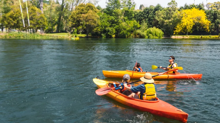 Family kayaking together on Wairoa River